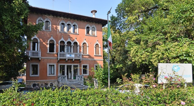Maxi asta dei beni Israa: appartamenti a Treviso e Venezia, la super villa e terreni
