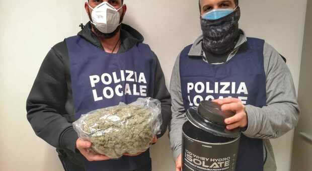 La polizia locale con la marijuana sequestrata