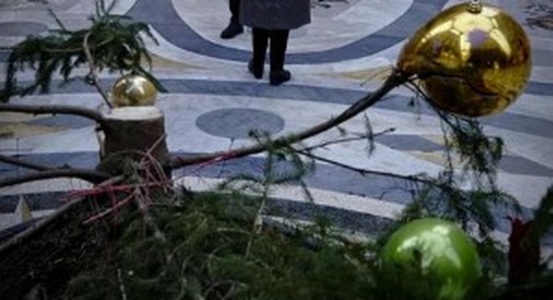 Napoli, sfregiato l'albero di Natale in Galleria: i vandali l'hanno segato, rubate decorazioni e bigliettini dei "sogni"