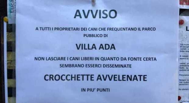 Roma, allarme a Villa Ada: «Crocchette avvelenate per i cani»