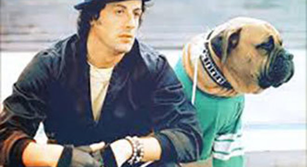 Stallone: «Ero così povero da vendermi il cane» Ma con il primo stipendio...