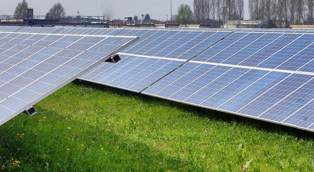 La Coldiretti insorge contro l'ipotesi di campo fotovoltaico nelle campagne di Loreo