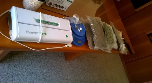 Urbino, trovato con marijuana e coca aggredisce i poliziotti: studente arrestato