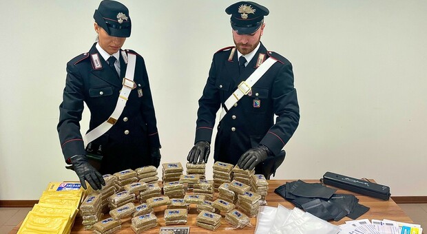 Sequestrati 10 chili di hashish “Mercoledì Addams”, arrestato pusher di 20 anni che spediva la droga in tutta Italia