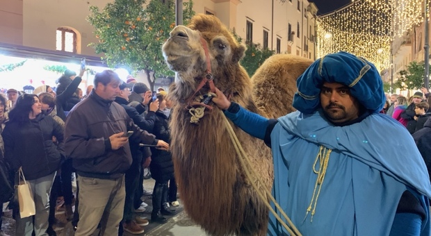 La sfilata dei Re Magi con i cammelli a Sorrento