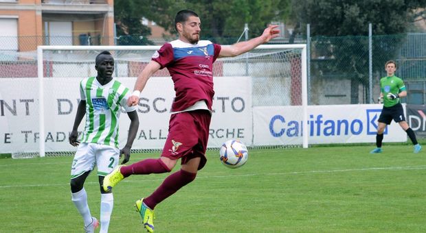 Alex Ambrosini, 4 gol e 10 presenze con il Fano