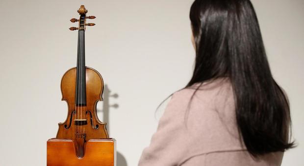 Maltempo, è allarme per il legno dei violini Stradivari: «A rischio parassiti»