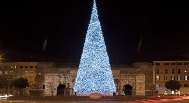 Torna il grande albero di Natale Bauli a Verona: acceso l'abete alto 20 metri