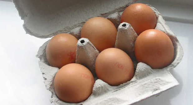 Allergie alimentari: bimbi, attenzione alle uova