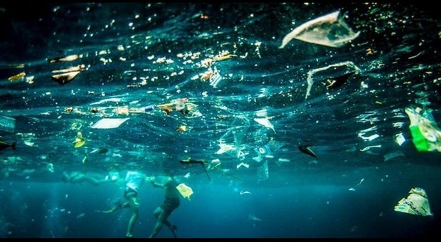 Spiagge e fondali liberati è la rivoluzione plastic free
