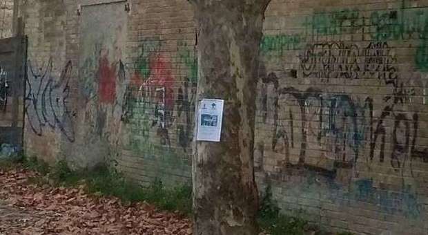 Porto Sant'Elpidio, cartelli sugli alberi Legambiente contro i tagli in piazza