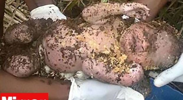 Neonato sepolto vivo dalla madre si salva per miracolo: "Ha respirato attraverso uno spiraglio"