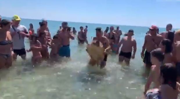 Tartaruga catturata e portata a riva per farla fotografare: crudeltà sulla spiaggia di Taranto