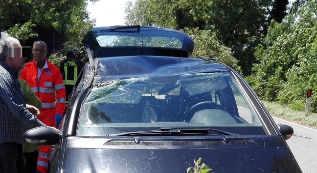 L'auto colpita dall'albero caduto a Udine