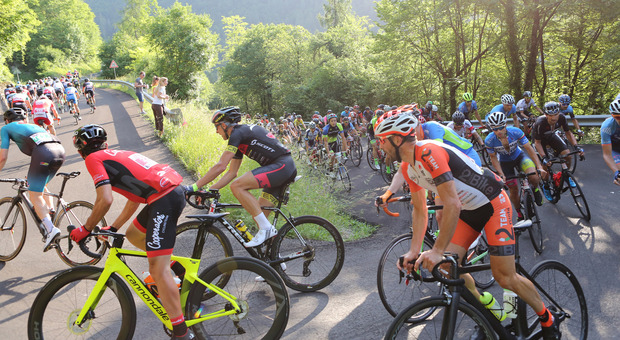 Sportful Dolomiti Race, attesi a Feltre 3500 ciclisti da tutto il mondo. Percorsi, iscrizioni e grandi ospiti