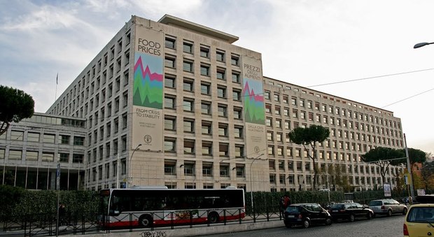 Roma, falso allarme bomba nella sede Fao: L'ordigno segnalato con telefonata anonima