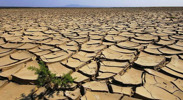 Salento, rischio desertificazione: «Emergenza da affrontare»