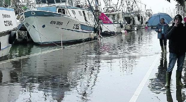 Acqua alta a Chioggia: auto in fuga dal centro all'ultimo istante