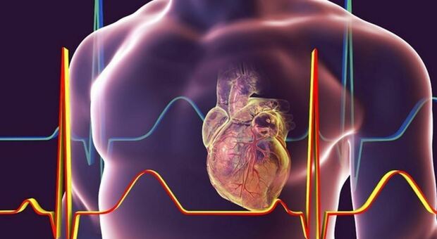 Nuovo gel iniettabile riparerà danni post-infarto riducendo fibrosi al cuore
