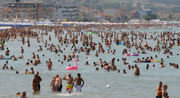 Litigi in spiaggia, ombrelloni abusivi, animali fastidiosi e maleducati vari: l'estate rissosa degli italiani (Mauro Cognigni)