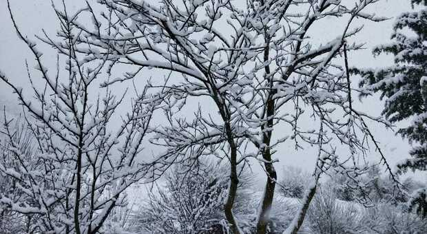 Abbondanti nevicate: chiuse le scuole a Tardiano, Monte San Giacomo e Padula