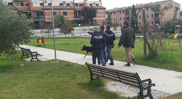 Vallato horror, blitz della polizia spunta droga nell’erba del parco