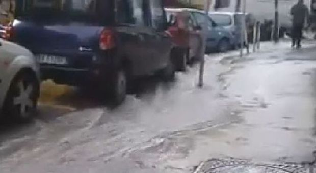Napoli. Bomba d'acqua sui quartieri collinari, allagamenti e carcasse di animali in strada