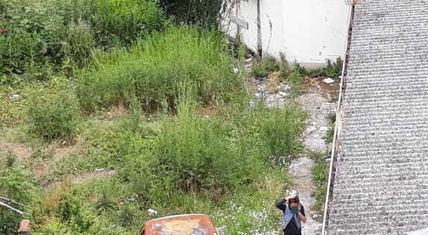 Gli occupanti abusivi nel giardino della casa di via Rizzardi a Marghera (Nuove Tecniche/Tommaso Biondo)