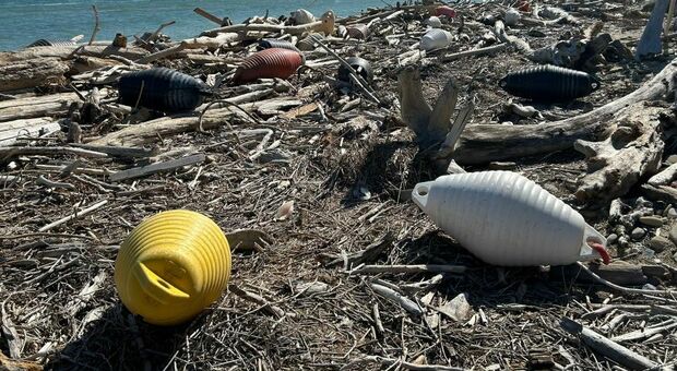 Ripulita la spiaggia di Fiorenzuola di Focara, raccolte tre tonnellate di rifiuti