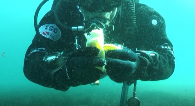 Mangiare una banana sott acqua, è possibile. L insolito esperimento, documentato da un sub napoletano.