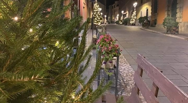 A Magliano Sabina la Pro loco lancia la campagna adotta un albero di Natale