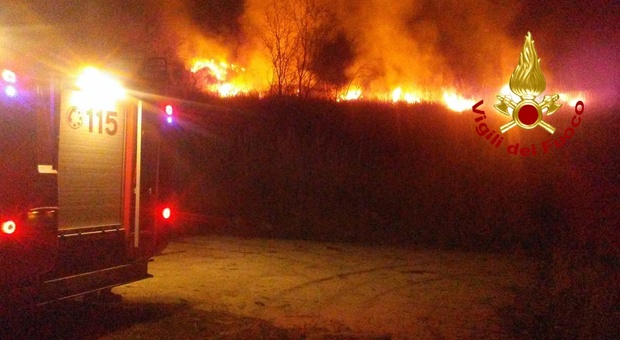 Inferno di fuoco a Taurasi, in fiamme 4 ettari di bosco