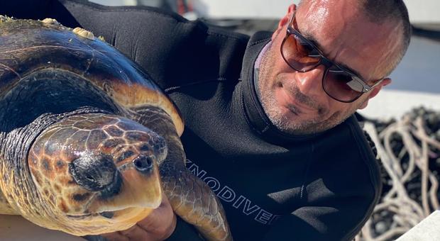 Il tarantino Alessio Baratto con la tartaruga salvata in mare