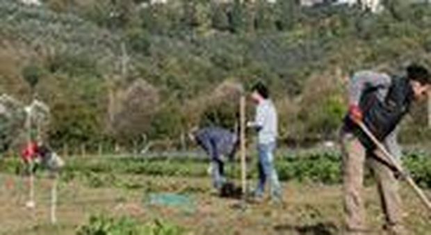 Terni, l'agricoltura sociale per l'inserimento lavorativo è la ricetta dell'Unasam
