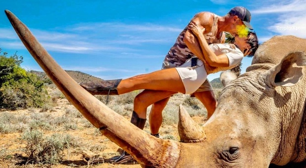 Spara al rinoceronte e posa con la moglie vicino alla carcassa: bufera sul cacciatore Usa