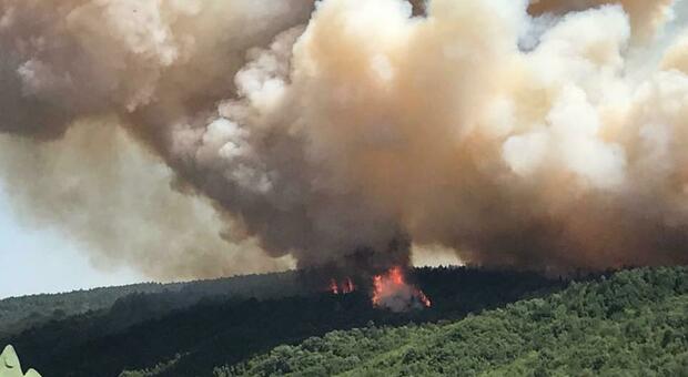 Pericolo incendi boschivi, il piano della Regione Marche: «La terra bruciata per 15 anni non cambierà destinazione d'uso»
