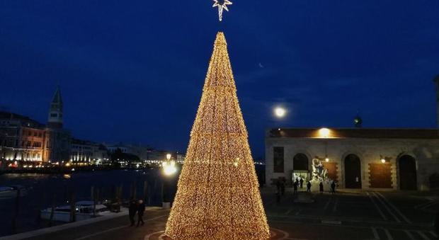 L'albero di Natale alla Salute