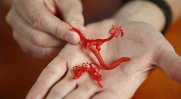 Vasi sanguigni ricostruiti con le stampanti 3D: la prossima frontiera cuore e polmoni