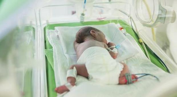 Inghilterra, otto neonati uccisi in ospedale: arrestata un'infermiera