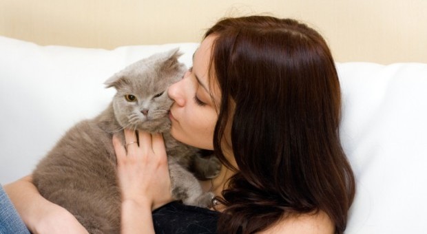 "I gatti fanno bene alle donne", ecco perché tutte dovrebbero averne uno
