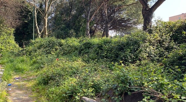 Napoli, il parco di Barra mai inaugurato per le vittime del Covid: proposta di GreenCare