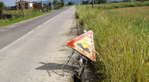 Rieti, in via Comunali festeggia il compleanno il cartello per segnalare una buca pericolosa