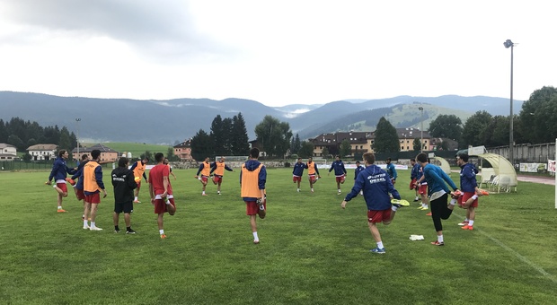 Vicenza calcio
