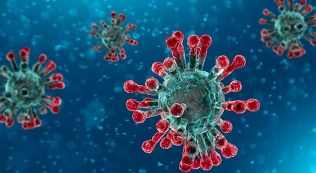 Coronavirus, scoperta nuova strada con cui invade l'organismo: possibile strada per cure