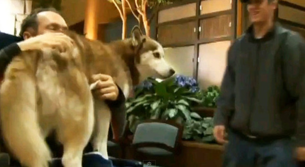 Leonard Somers con il suo husky (fermo immagine dal video di Fox31)