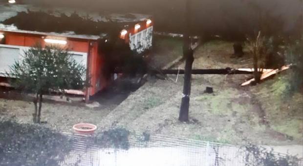 Maltempo a Roma, 170 interventi dei vigili del fuoco: albero crolla su un tetto di una scuola