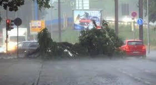 Nubifragio su Milano: pioggia violentissima, allagamenti, alberi e rami spezzati