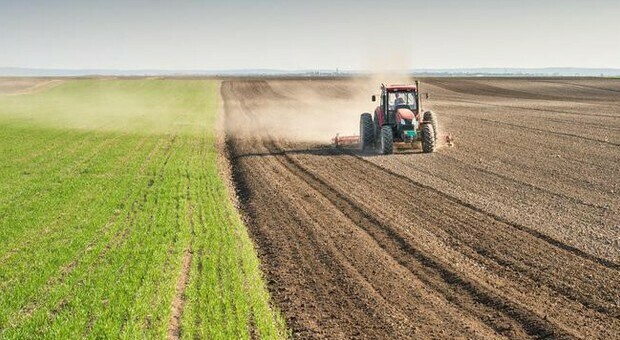 Cia Agricoltori-italiani contro lo spreco alimentare: ecco i punti
