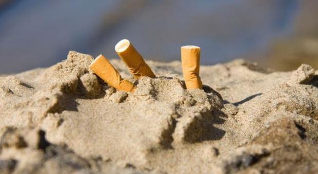 «La nicotina in mare è letale per i crostacei»