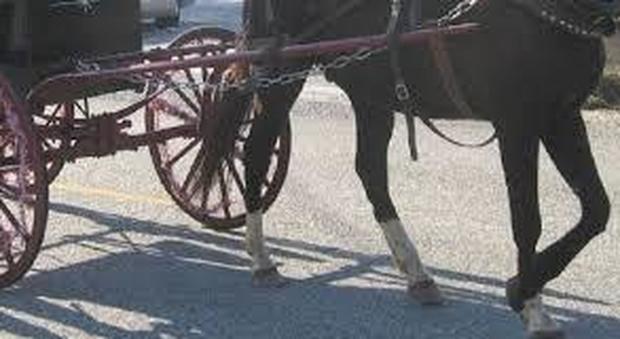 Coronavirus a Napoli, va a spasso sul calesse trainato da un cavallo: denunciato